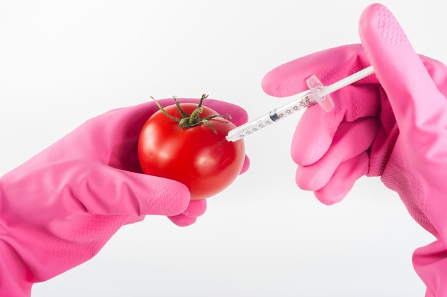 Non-GMO 인증 소개